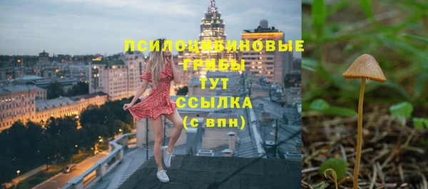 бутират Алзамай