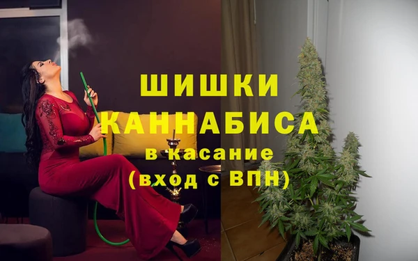 крисы Алексин